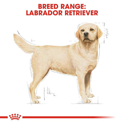 Royal Canin Breed Health Nutrition Labrador Retriever Adult Dog Dry Food 3kg