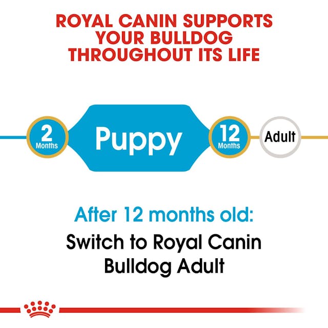 Royal Canin Breed Health Nutrition Bulldog Puppy Dog Dry Food 3kg