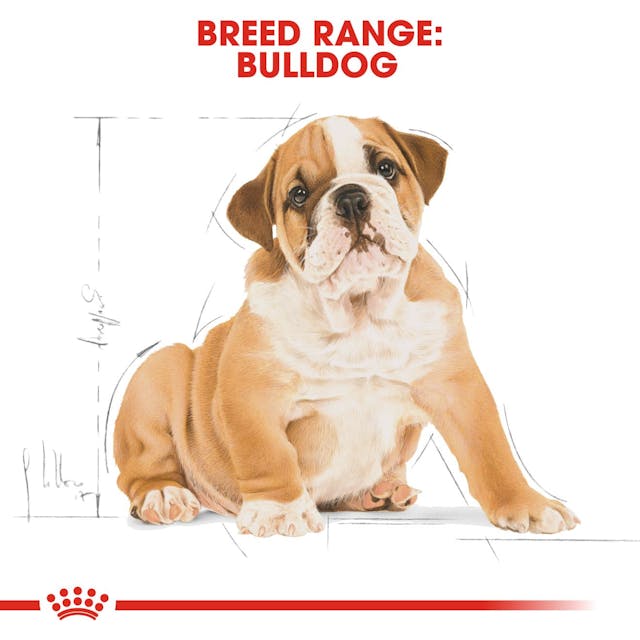 Royal Canin Breed Health Nutrition Bulldog Puppy Dog Dry Food 3kg