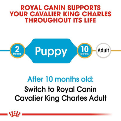 Royal Canin Breed Health Nutrition Cavalier King Charles Puppy Dog Dry Food 1.5kg