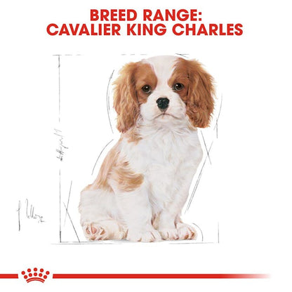 Royal Canin Breed Health Nutrition Cavalier King Charles Puppy Dog Dry Food 1.5kg