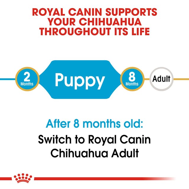 Royal Canin Breed Health Nutrition Chihuahua Puppy Dog Dry Food 500g