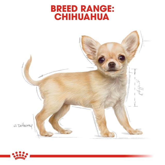 Royal Canin Breed Health Nutrition Chihuahua Puppy Dog Dry Food 500g