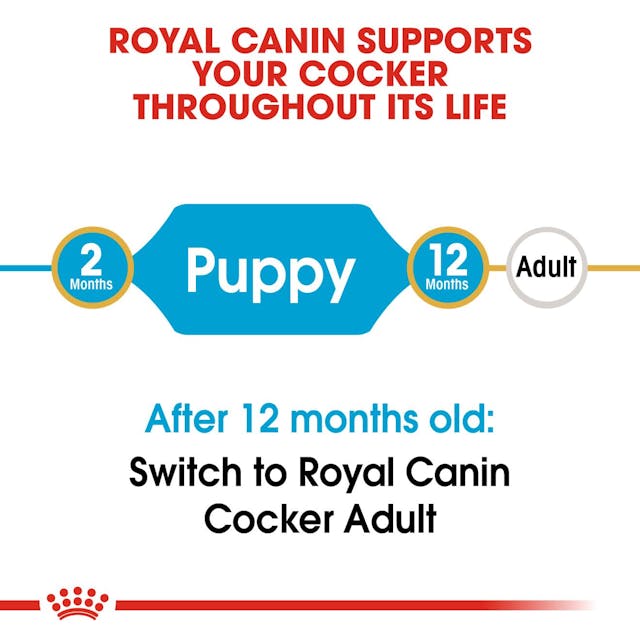 Royal Canin Breed Health Nutrition Cocker Puppy Dog Dry Food 3kg