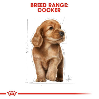 Royal Canin Breed Health Nutrition Cocker Puppy Dog Dry Food 3kg