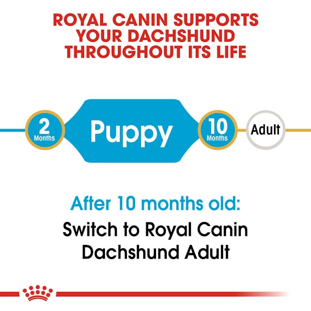 Royal Canin Breed Health Nutrition Dachshund Puppy Dog Dry Food 1.5kg