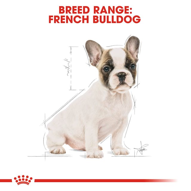 Royal Canin Breed Health Nutrition French Bulldog Puppy Dog Dry Food 3kg