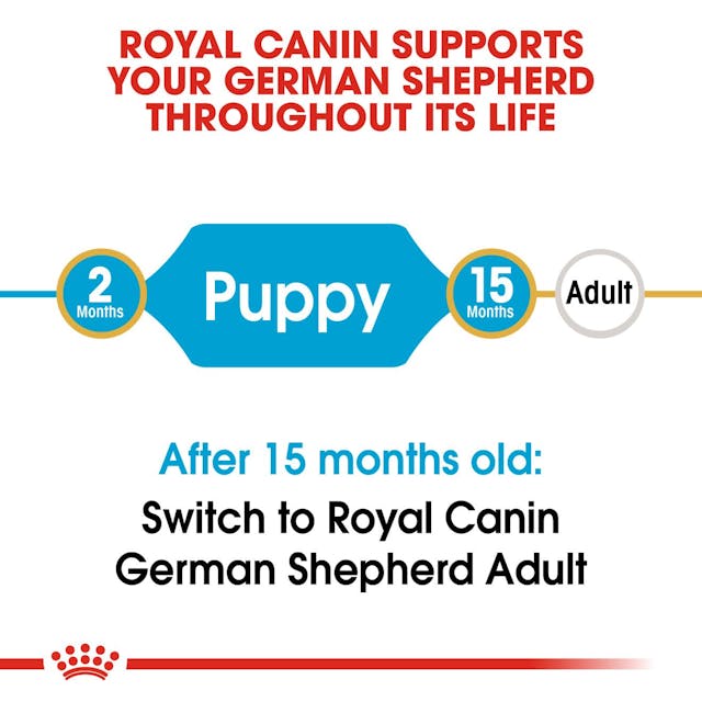 Royal Canin Breed Health Nutrition German Shepherd Puppy Dog Dry Food 3kg