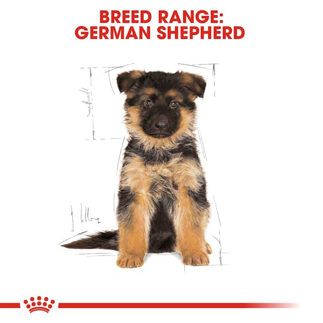 Royal Canin Breed Health Nutrition German Shepherd Puppy Dog Dry Food 3kg