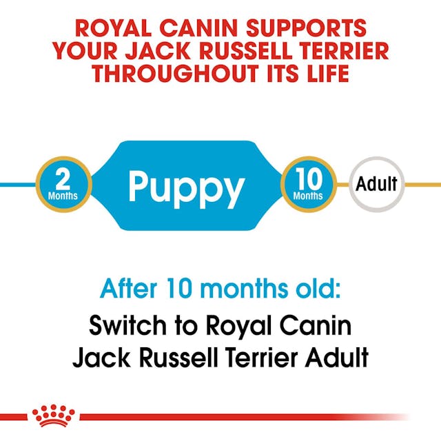 Royal Canin Breed Health Nutrition Jack Russell Puppy Dog Dry Food 1.5kg