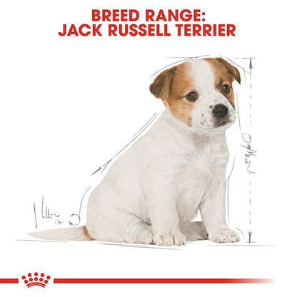 Royal Canin Breed Health Nutrition Jack Russell Puppy Dog Dry Food 1.5kg