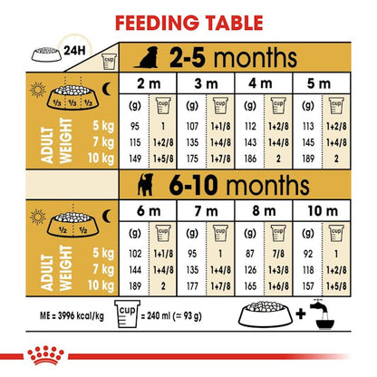 Royal Canin Breed Health Nutrition Jack Russell Puppy Dog Dry Food 1.5kg