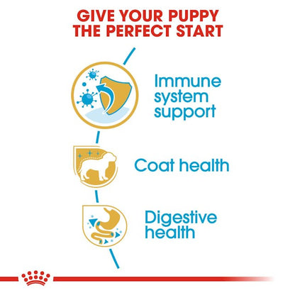 Royal Canin Breed Health Nutrition Poodle Puppy Dog Dry Food 500g