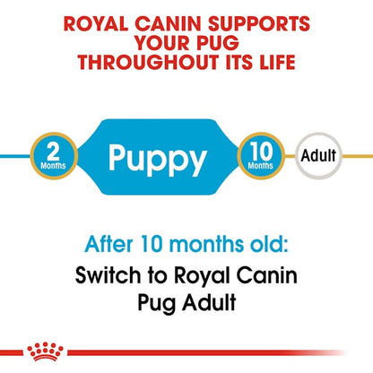 Royal Canin Breed Health Nutrition Pug Puppy Dog Dry Food 500g