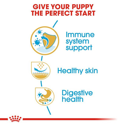 Royal Canin Breed Health Nutrition Pug Puppy Dog Dry Food 500g