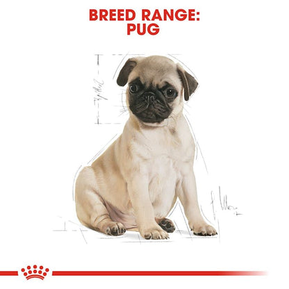 Royal Canin Breed Health Nutrition Pug Puppy Dog Dry Food 500g