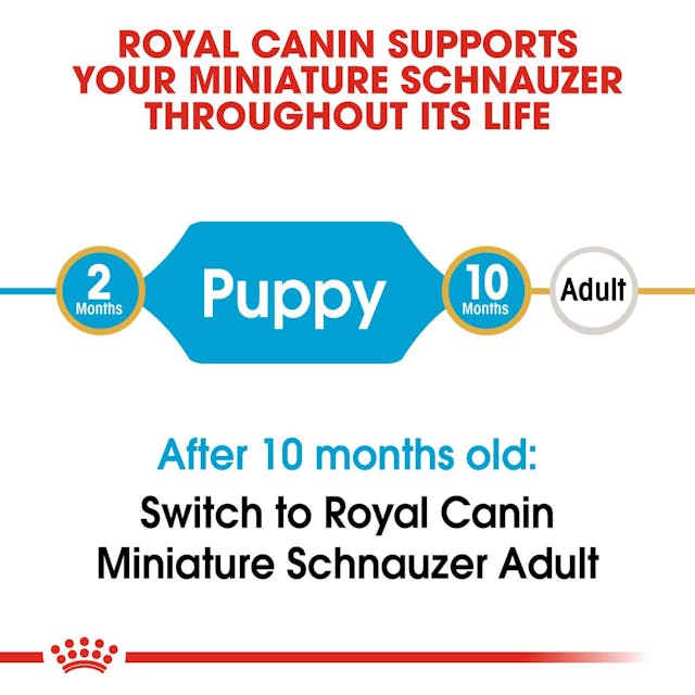 Royal Canin Breed Health Nutrition Miniature Schnauzer Puppy Dog Dry Food 1.5kg