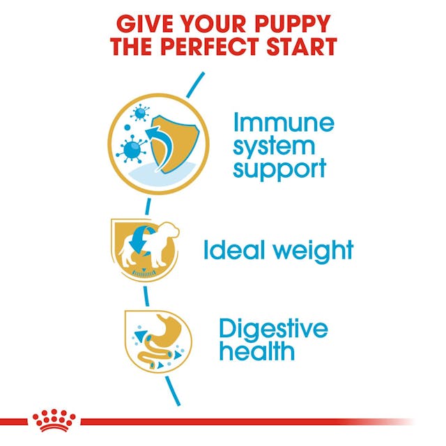 Royal Canin Breed Health Nutrition Miniature Schnauzer Puppy Dog Dry Food 1.5kg