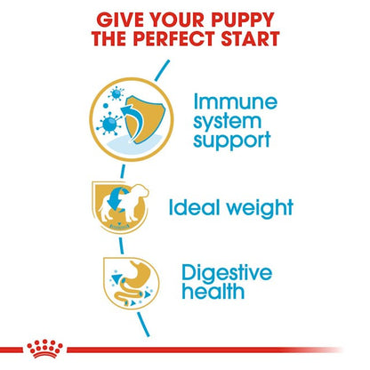 Royal Canin Breed Health Nutrition Miniature Schnauzer Puppy Dog Dry Food 1.5kg