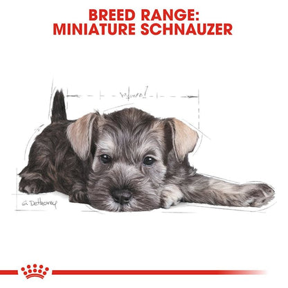 Royal Canin Breed Health Nutrition Miniature Schnauzer Puppy Dog Dry Food 1.5kg