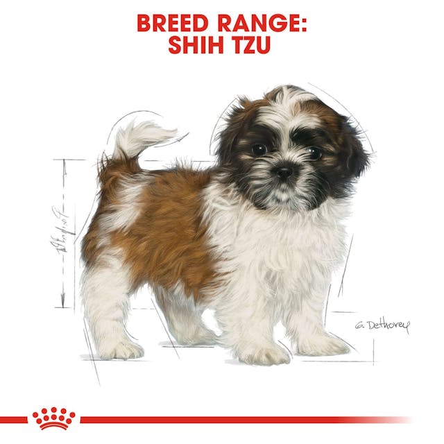 Royal Canin Breed Health Nutrition Shih Tzu Puppy Dog Dry Food 1.5kg