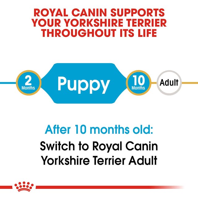 Royal Canin Breed Health Nutrition Yorkshire Terrier Puppy Dog Dry Food 1.5kg