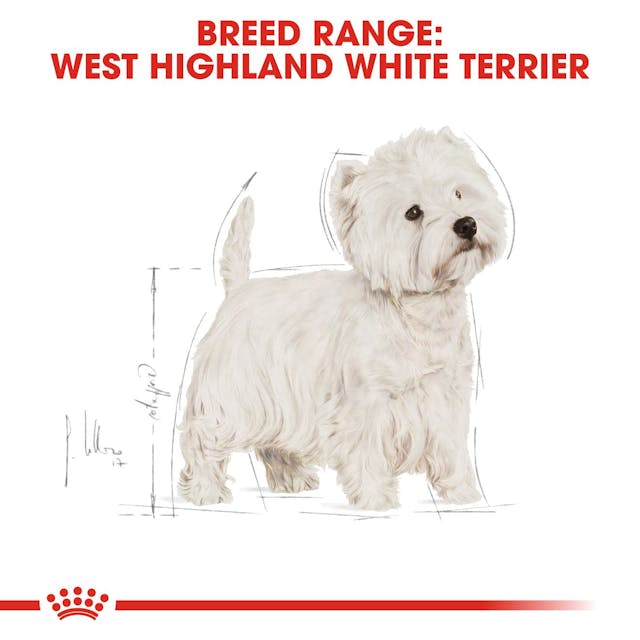 Royal Canin Breed Health Nutrition West Highland White Terrier Adult Dog Dry Food 1.5kg