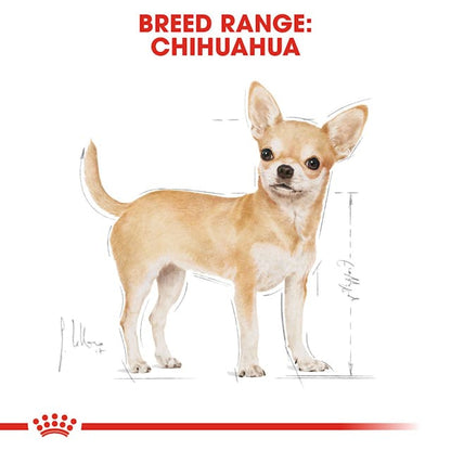 Royal Canin Breed Health Nutrition Chihuahua Adult Dog Wet Food 85g