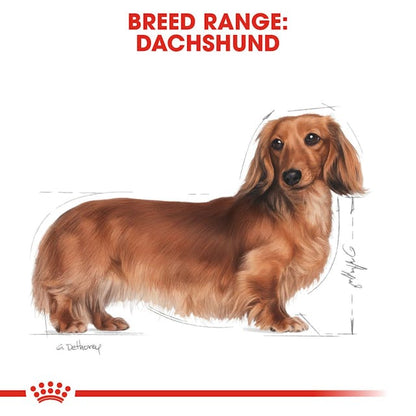 Royal Canin Breed Health Nutrition Dachshund Adult Dog Dry Food 1.5kg