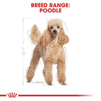 Royal Canin Breed Health Nutrition Poodle Adult Dog Dry Food 1.5kg