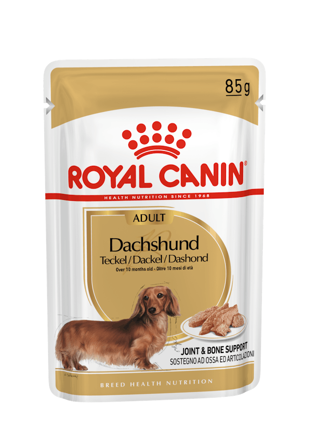 Royal Canin Breed Health Nutrition Dachshund Adult Dog Wet Food 85g