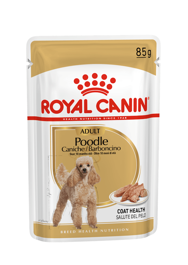 Royal Canin Breed Health Nutrition Poodle Adult Dog Wet Food 85g