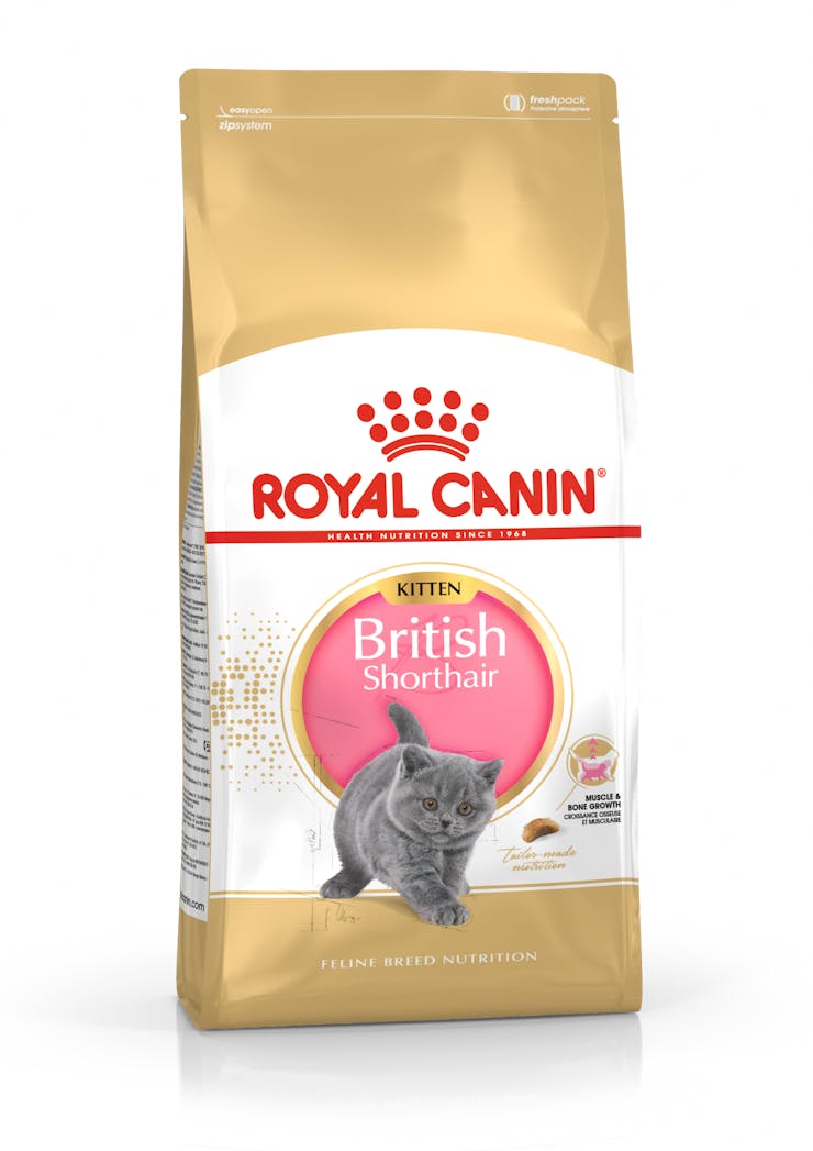 Royal Canin Feline Breed Nutrition British Shorthair Kitten Dry Food 2kg