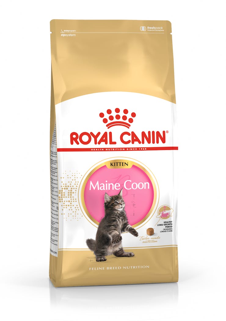 Royal Canin Feline Breed Nutrition Maine Coon Kitten Dry Food 2kg