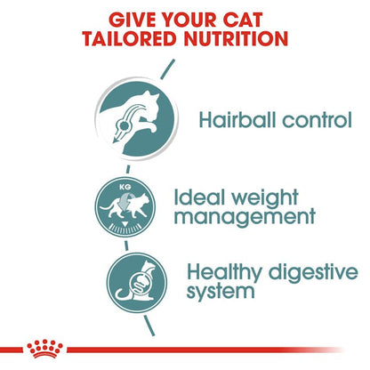 Royal Canin Feline Care Nutrition Hairball Care Adult Cat Wet Food 85g x 12