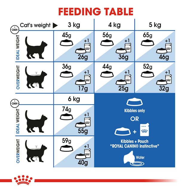 Royal Canin Feline Health Nutrition Indoor 27 Adult Cat Dry Food 10kg