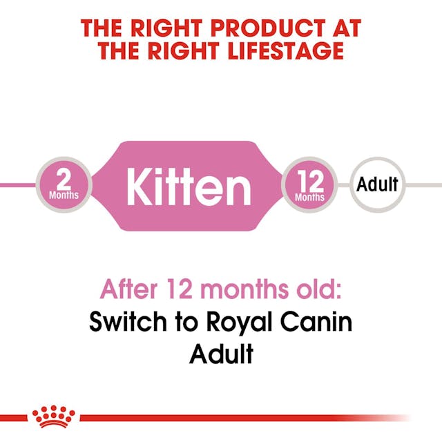 Royal Canin Feline Health Nutrition Kitten 36 Dry Food 400g