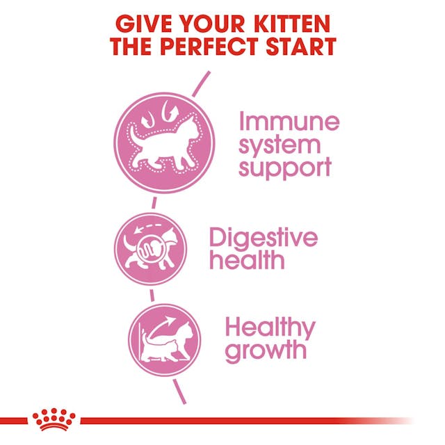 Royal Canin Feline Health Nutrition Kitten 36 Dry Food 400g