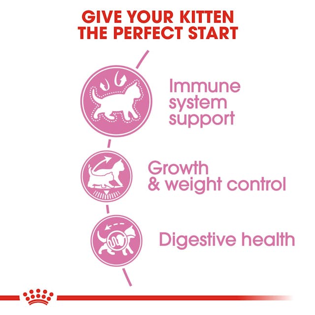 Royal Canin Feline Health Nutrition Sterilised 37 Kitten Dry Food 2kg