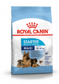 Royal Canin Size Health Nutrition Maxi Starter Mother & Babydog Dry Food 4kg