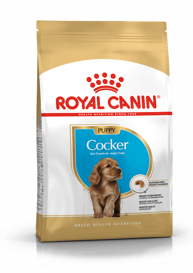 Royal Canin Breed Health Nutrition Cocker Puppy Dog Dry Food 3kg