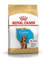 Royal Canin Breed Health Nutrition Cocker Puppy Dog Dry Food 3kg