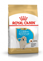 Royal Canin Breed Health Nutrition Golden Retriever Puppy Dog Dry Food 3kg