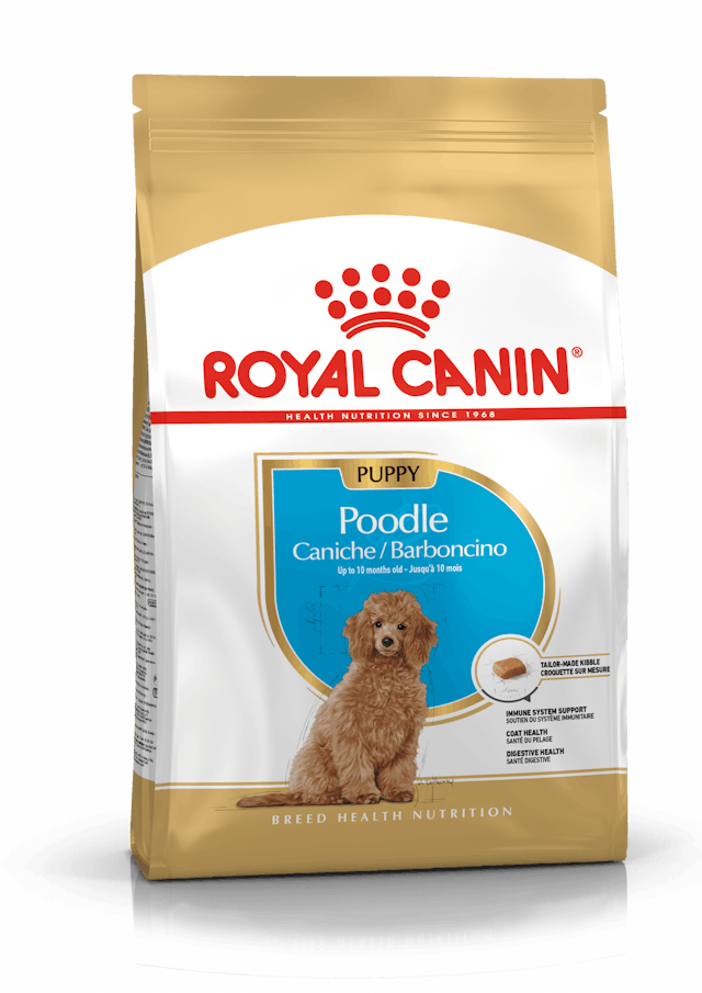 Royal Canin Breed Health Nutrition Poodle Puppy Dog Dry Food 500g