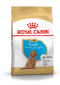 Royal Canin Breed Health Nutrition Poodle Puppy Dog Dry Food 500g