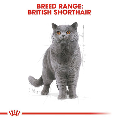 Royal Canin Feline Breed Nutrition British Shorthair Adult Cat Dry Food 2kg