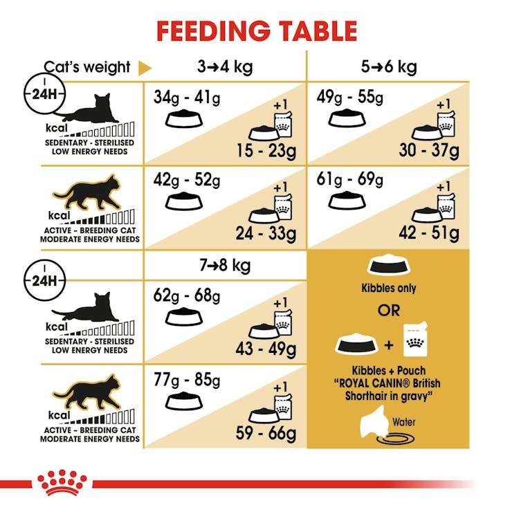 Royal Canin Feline Breed Nutrition British Shorthair Adult Cat Dry Food 2kg