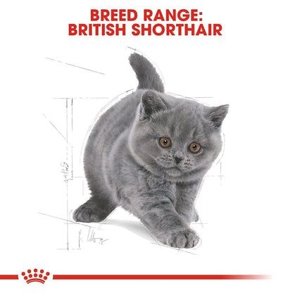 Royal Canin Feline Breed Nutrition British Shorthair Kitten Dry Food 2kg