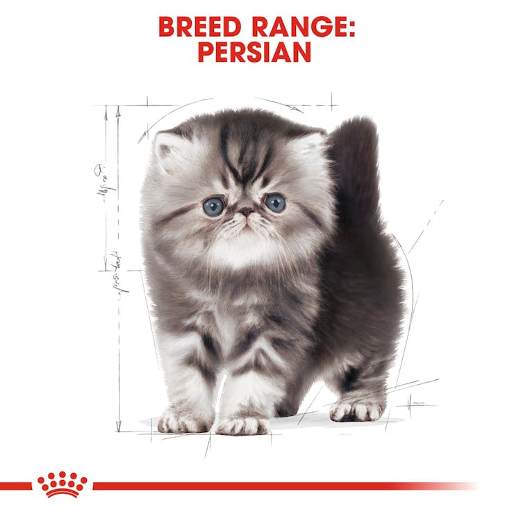 Royal Canin Feline Breed Nutrition Persian Kitten Dry Food 2kg