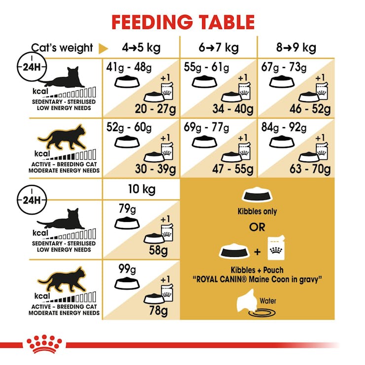 Royal Canin Feline Breed Nutrition Maine Coon Adult Cat Dry Food 2kg